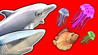 ЧТО БУДЕТ В ОБНОВЛЕНИИ? // ТЕОРИИ ОБ ОБНОВЛЕНИИ WildCraft: Ocean world