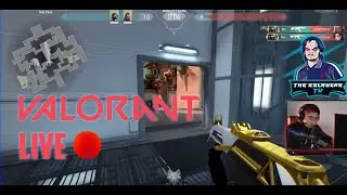 VALORANT | Road to Gold | LIVE 🔴 | TSTV