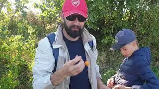 Жизнь в Польше / Искатели приключений / Наши супер-находки / Часть 2