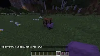 Minecraft 1.15.2 Java edition Duplication Glitch (WORKING)