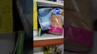 #shortsvideo #жиза #смешно
