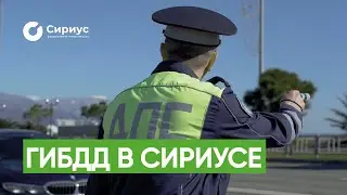 ГИБДД НА ФЕДЕРАЛЬНОЙ ТЕРРИТОРИИ СИРИУС
