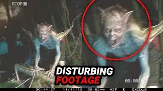 Most-Disturbing Camping Moments Caught on Camera
