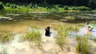 Wasserspiele mit Luke 2