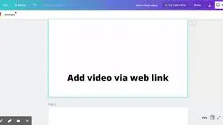 Add Video to Canva