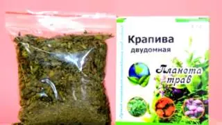 Крапива двудомная