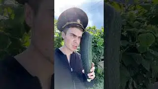 На даче свои Блюдители Закона😅 #shortvideo #юмор #like #прикол