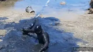 Latex Mud Jump
