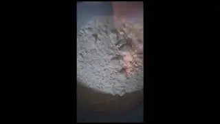 Жителей Сосьвы ХМАО кормят отбросами, как свиней