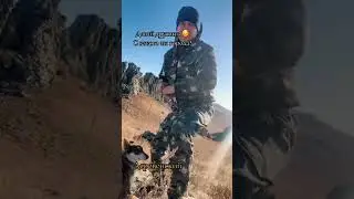 3 ноября 2023 г.