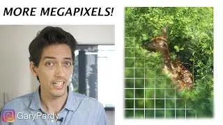 Megapixels Matter! How more megapixels can mean better photos