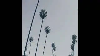 FKnJ Keys to Luv (Benzo Edit)