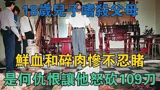 18歲兒子嗜殺父母，鮮血和碎肉慘不忍睹，是何仇恨讓他怒砍109刀 #真實案件 #刑事案件 #罪案揭秘