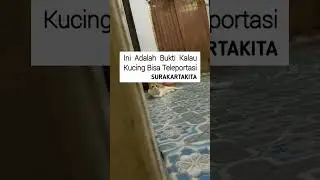 dorr