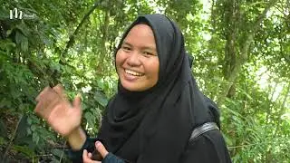 KEINDAHAN AIR TERJUN KEDABUHAN SUBULUSALAM