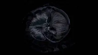In a Nutshell - A Texas Trip Under the Half Moon