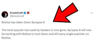 Every single Hacker is getting banned right now...