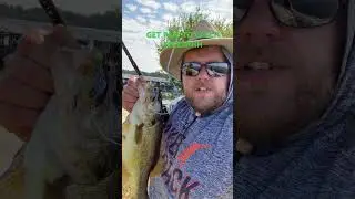 MONSTERBASS!! Get paid to fish! Googan Squad Mondo kit #SponsorBUZZ!