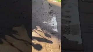 Cómo reutilizar CARTÓN EN EL HUERTO