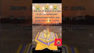 падарчон 🥺