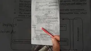 Simple Reflex Agent (intelligent Agent) #artificialintelligence #aktu #semester7