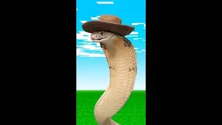 Venomous King Cobra Prank