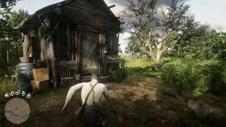 RDR2 - WTF