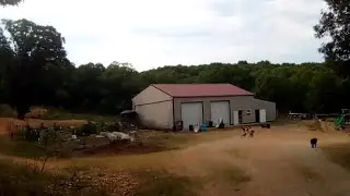 Morning Animal Chores on the Homestead | June 2023 | VLOG