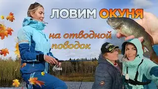 НА РЫБАЛКУ ЗА ОСЕННИМ ОКУНЕМ С ПОДРУГОЙ! Ловим на отводной поводок с лодки!