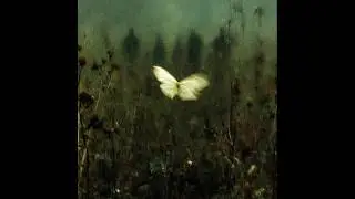[free] deftones / shoegaze / alternative rock type beat 