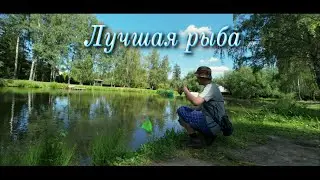 Фильм. ЛУЧШАЯ РЫБА Рыбалка на пруду