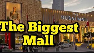 7 Emirates Escapade   Dubai Mall