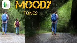 Create MOODY TONES with Light DRAMATICBackground in Snapseed App |Android | i0s AND PC