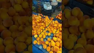 Prices in Antalya at the bazaar today.