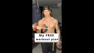 Free Workout Plan For Aesthetics 💪