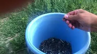 Мой эксперимент по водопоглощению древесины