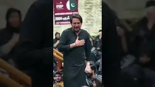 20safar pursa dari #farhanaliwaris #viralvideo #explore #chehlum2024