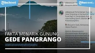 5 Fakta Menarik Gunung Gede Pangrango yang Terlihat dari Kemayoran Jakarta