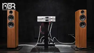 Greatest Audiophile Music 2024 - Hi Res Music - Natural Beat Records