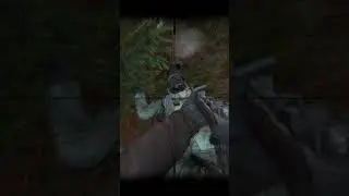 Dayz. Случайный лут в лесу.