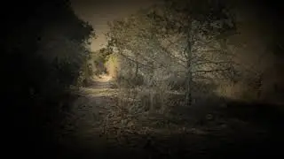 Kemur Frá - Videoversión