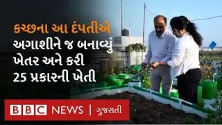 Kutch News : રીંગણાં, ટામેટાં, મરચાં જેવી 25 આઈટમો આ દંપતી ઘરે બેઠાં જ કેવી રીતે ઊગાડે છે?