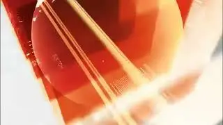 Заставка Программы 