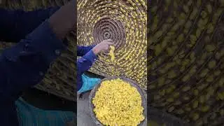 Amazing Silk Preparation Complete Process Using Silkworm 