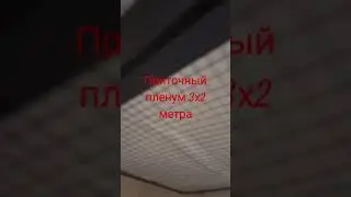 21 августа 2024 г.