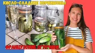 Французская версия солёных Огурцов. Одной банки явно будет мало !