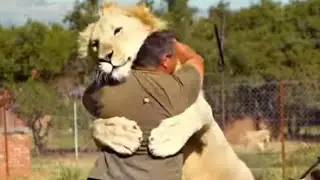 Animals Reunited With their Owners After Many years🥺