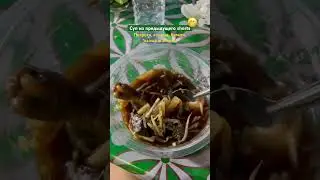 Подпишись ❤️ новые видео каждый день  #ledichel #тайскаяеда #зимовкавтайланде