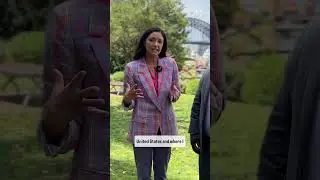 Episode 11: NCIS connected to the Navy