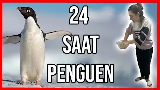 24 SAAT PENGUEN GİBİ YAŞAMAK! **DÜNYA PENGUEN GÜNÜ!** Dobişko Tv